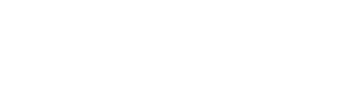 Veal Logo Header